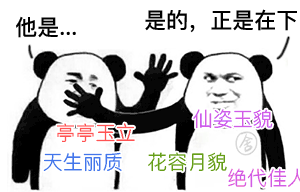 没错，就是这套“是的，正是他”表情包