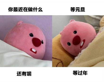 12月23日热门表情包合集来啦