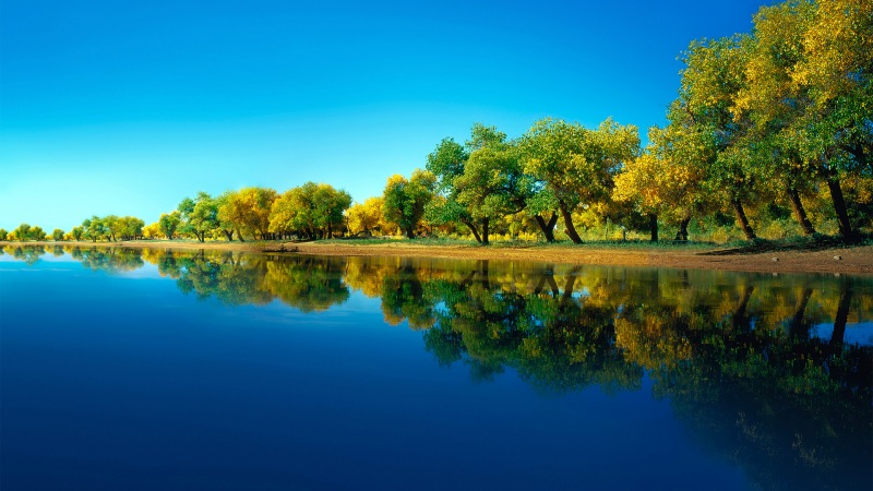 华为Mate40 Pro自带的高清风景壁纸来啦