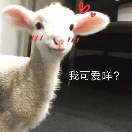 聊天斗图新选择！小羊表情包系列来啦