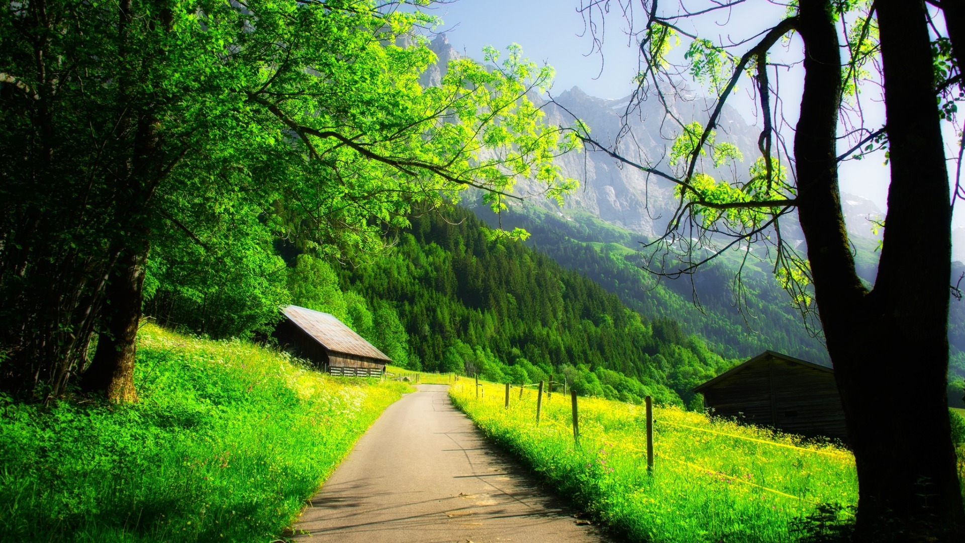 自然山景公路森林房景高清壁纸分享