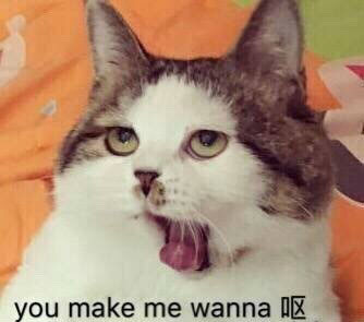 整理好的一波英文表情包合集 斗图直接用