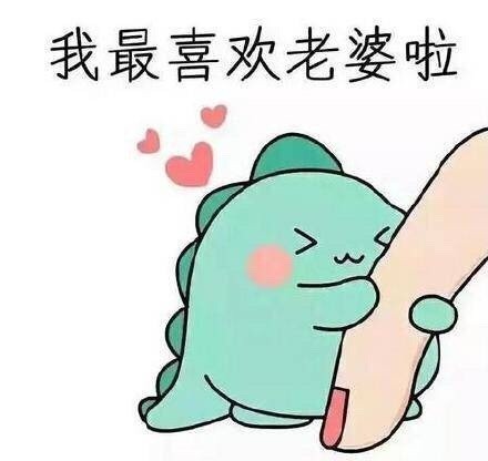 给老公们整理的专属爱老婆表情包合集