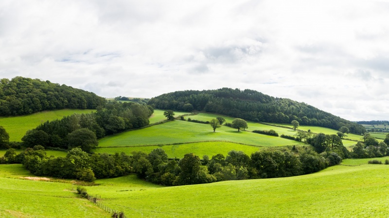 这套丘陵森林全景壁纸，把治愈感拉满当电脑桌面太绝了