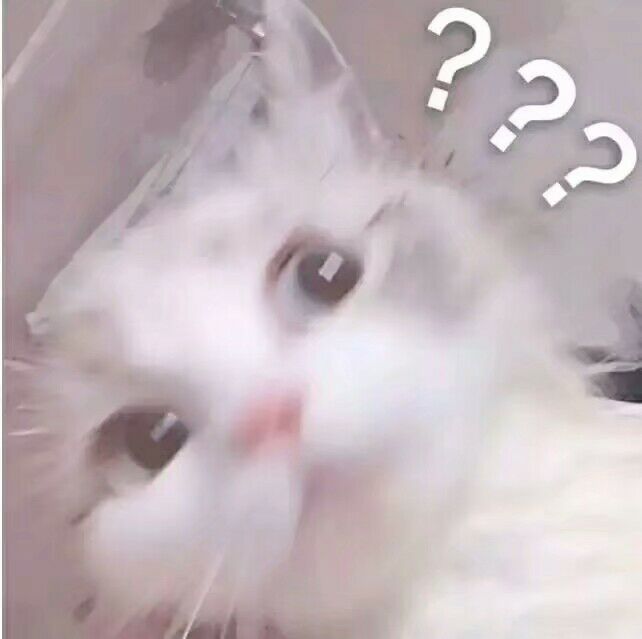 这波斗图全靠喵！一组可爱猫猫表情包合集