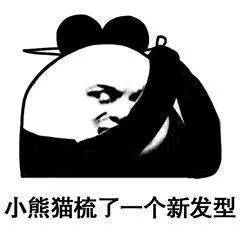 聊天斗图别输阵！这套熊猫头表情包合集收好