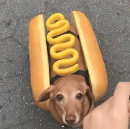 聊天斗图必备！无字表情包合集来啦