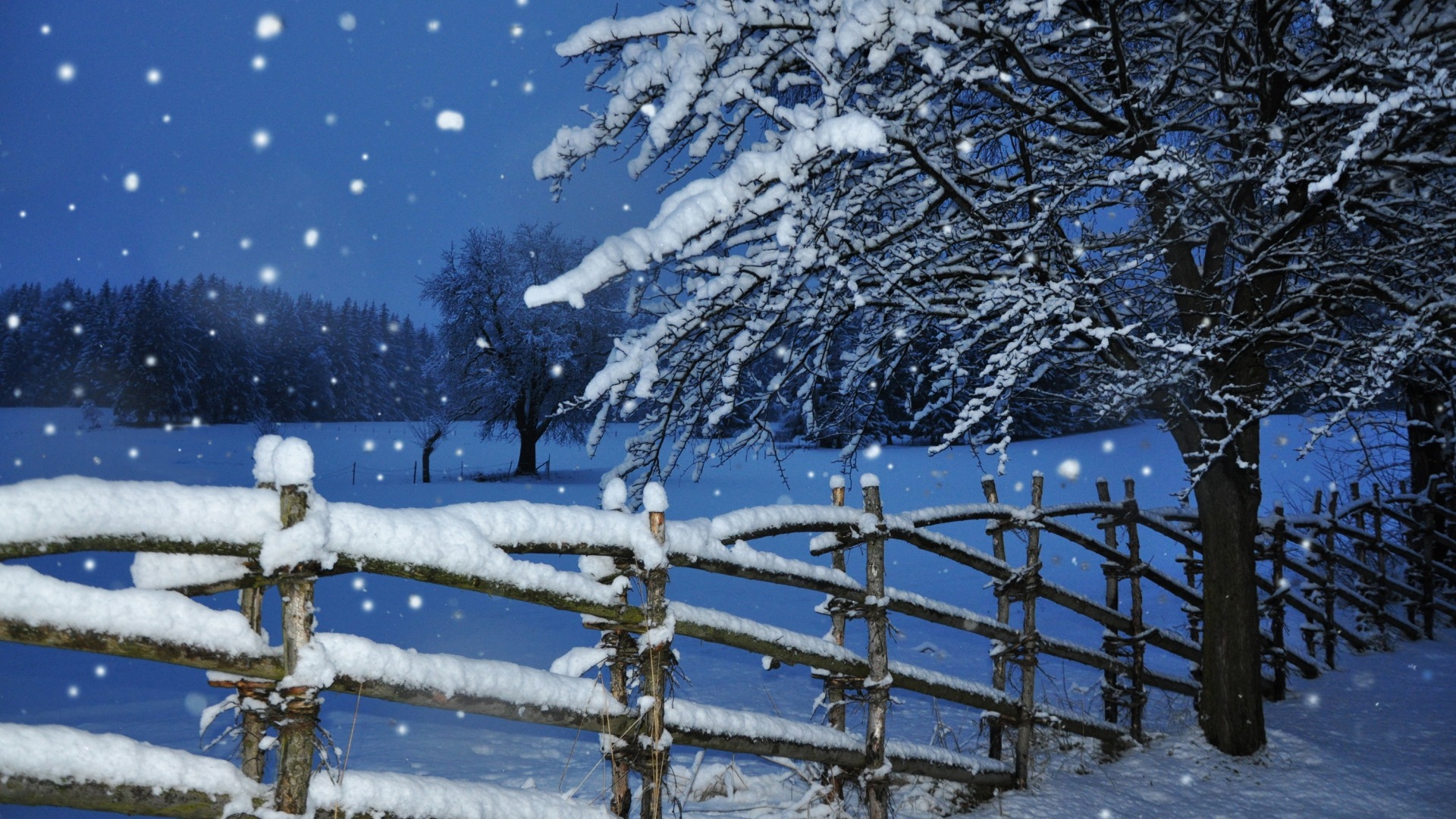 冬日飘雪围栏树景电脑壁纸推荐