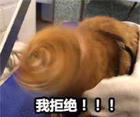 气得我都糊掉了 热门斗图表情包合集