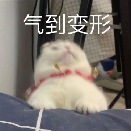 1月17日斗图表情包合集整理