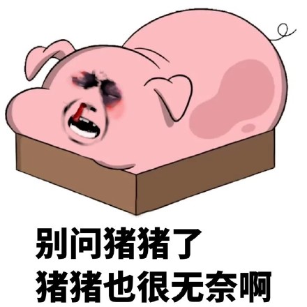 这套猪猪表情包，主打一个“不关猪猪的事”