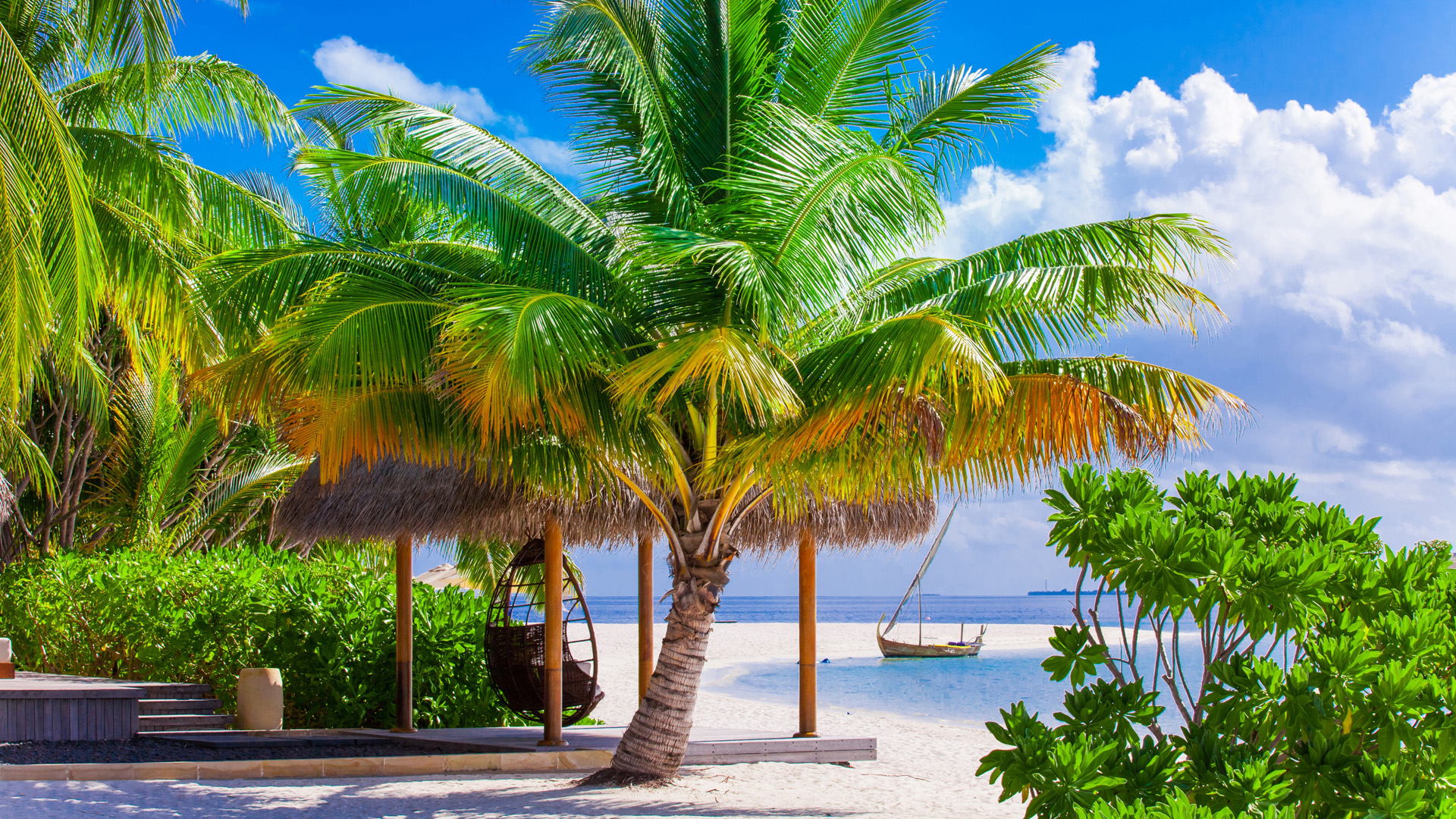 夏日热带沙滩棕榈海岸 电脑高清桌面壁纸