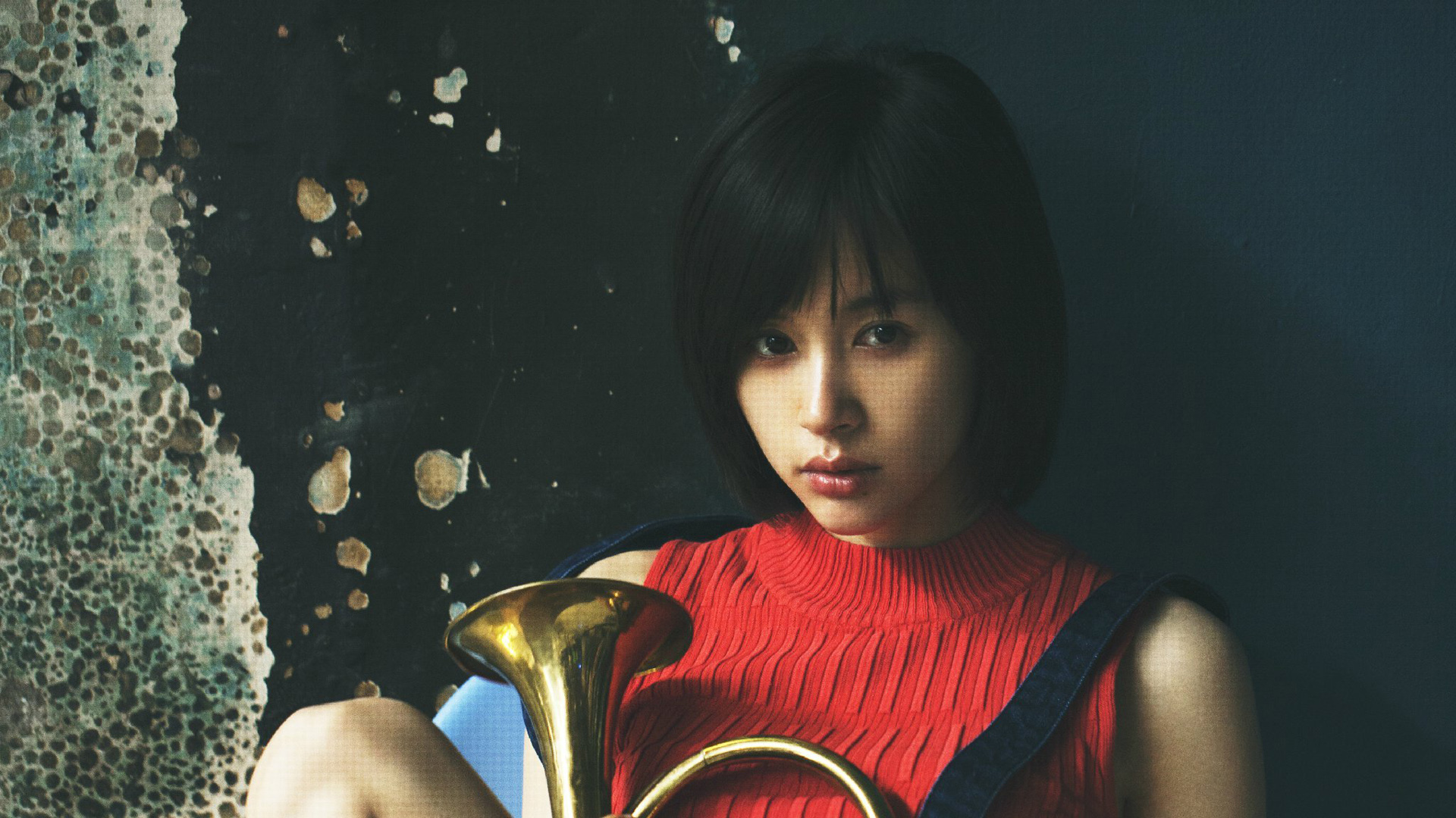 王子文电脑桌面高清壁纸合集，适配多种屏幕尺寸