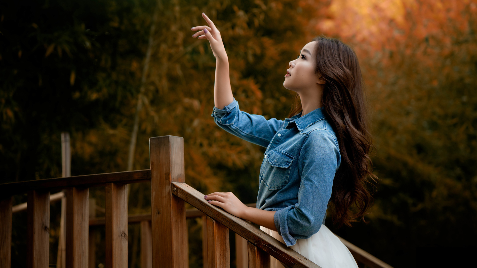 公园木栅栏步道配美女的2K高清电脑桌面壁纸