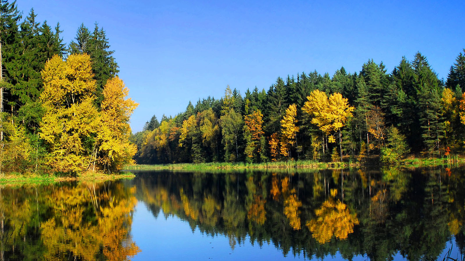 森林湖水高清电脑壁纸分享