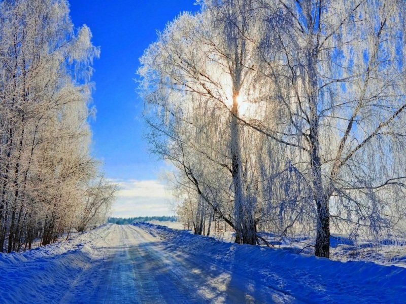 冬日蓝调雪景壁纸来了！有雪路太阳树木的治愈自然风景