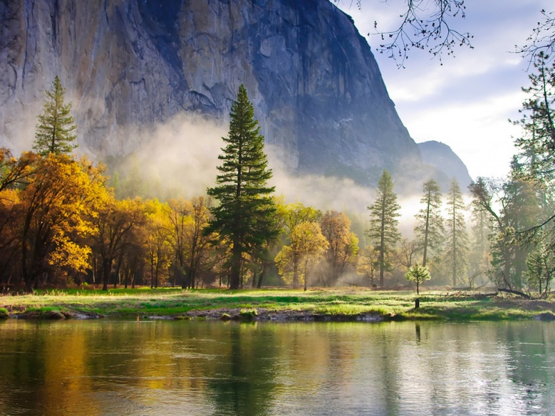 自然山林湖景云杉主题电脑动漫壁纸推荐