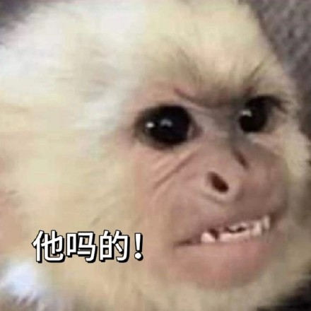 全网最全吗喽和水豚斗图表情包合集