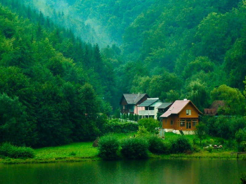 这套森林溪流小屋壁纸，把治愈自然搬上你的电脑桌面