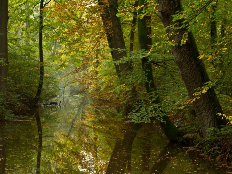 秋日森林静谧河流 自然风景电脑壁纸合集