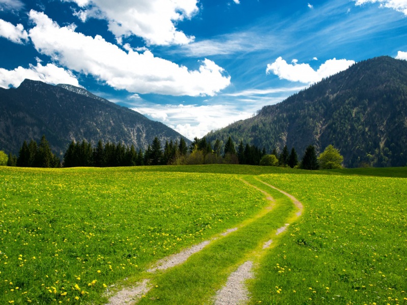 巴伐利亚阿尔卑斯牧场风景 一键get这款动漫风电脑壁纸