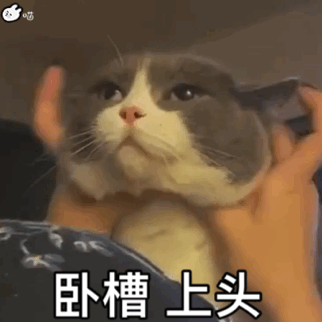 聊天党必备！好用又好玩的表情包合集