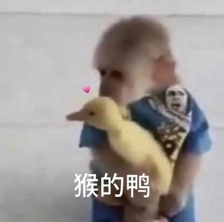 聊天斗图别愁！这套沙雕猴吗喽表情包太好用了