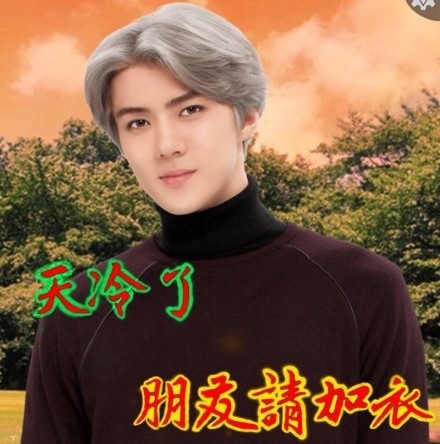 爸妈辈专属！这份中老年聊天表情包请收好