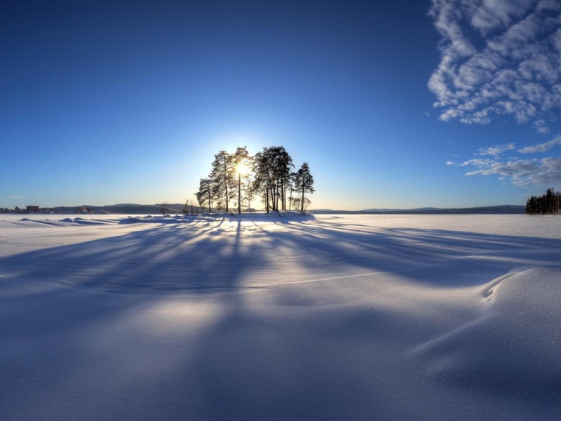 冬日暖阳雪地树景壁纸合集