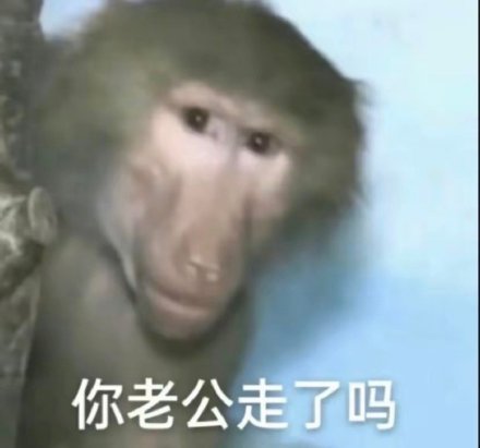 聊天斗图别愁！这套沙雕猴吗喽表情包太好用了