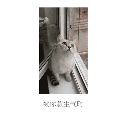 这套表情包也太真实了！说的不就是你女朋友吗