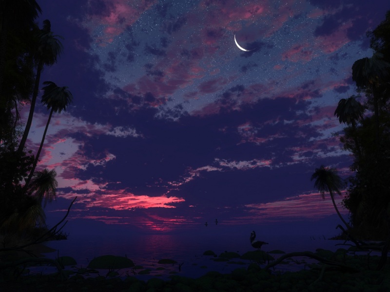 氛围感拉满！沙滩棕榈树日落星空风景壁纸合集