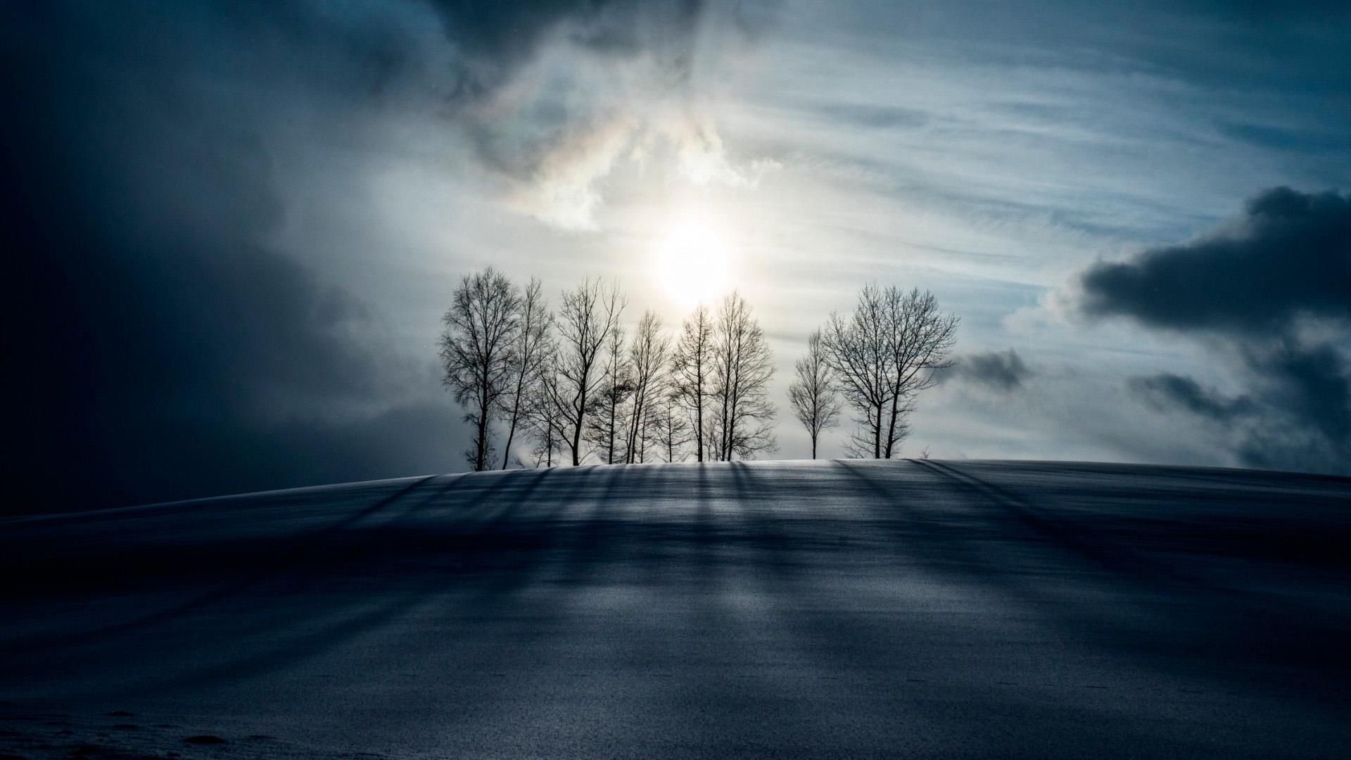 雪夜月光林木云景 多款高清电脑动漫壁纸可选