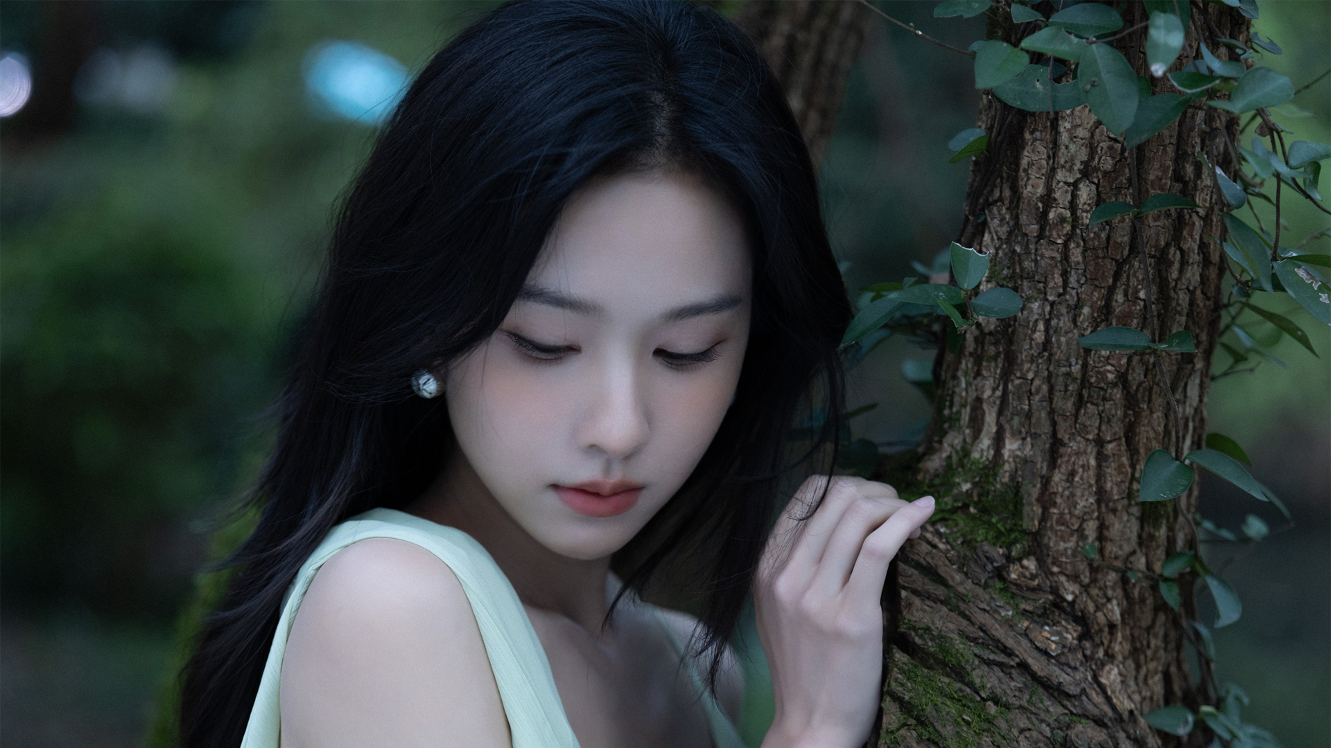 陈都灵森林主题电脑桌面壁纸分享