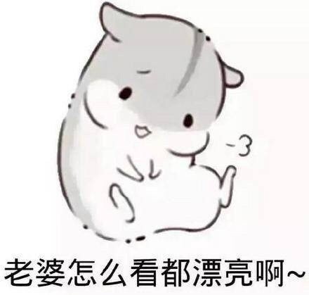 给老公们整理的专属爱老婆表情包合集