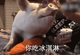超甜“最爱你惹”小猪表情包合集