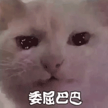 聊天必备！哭泣表情包合集整理好了