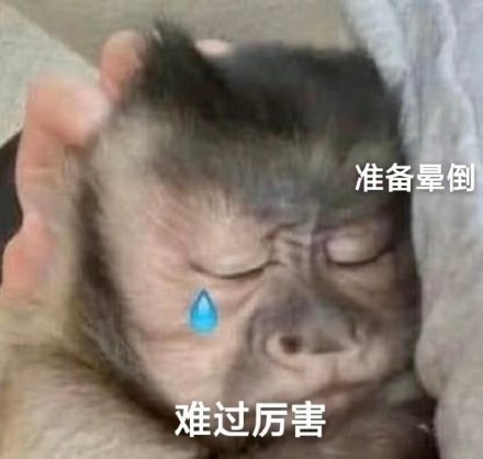 聊天斗图别愁！这套沙雕猴吗喽表情包太好用了