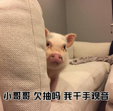 小姐姐搭讪小哥哥的表情包合集来啦