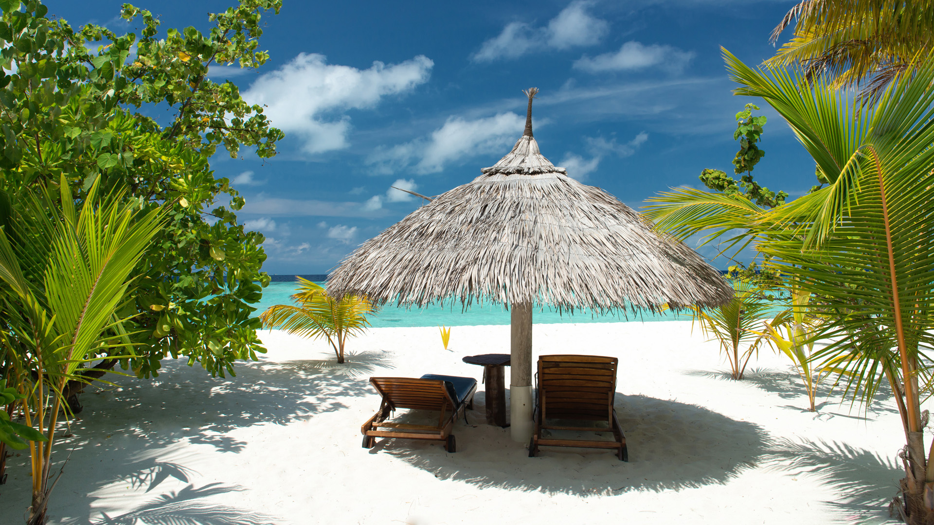 夏日海边氛围感拉满！这款动漫电脑壁纸把沙滩大海搬上你的桌面