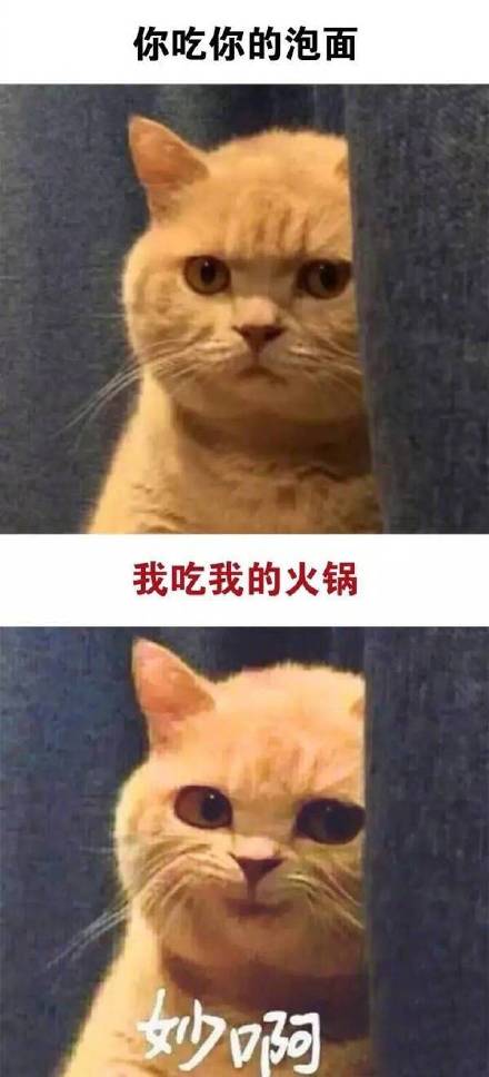 这款“真是妙啊”表情包火了，怼人摆烂都能用