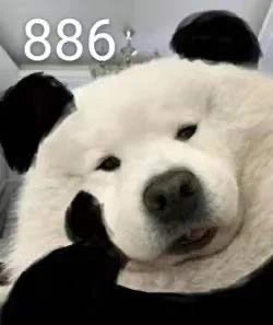 狗狗托腮表情包合集来了，斗图聊天超好用