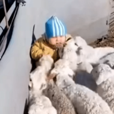 12月23日热门表情包合集来啦