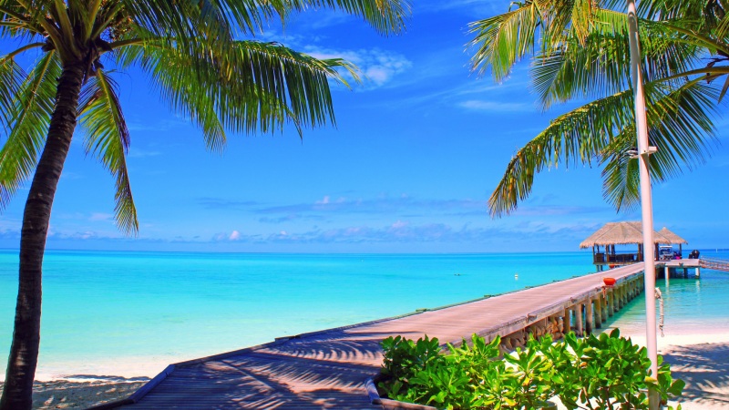 马尔代夫滨海桥景风光壁纸 适配多尺寸电脑屏幕