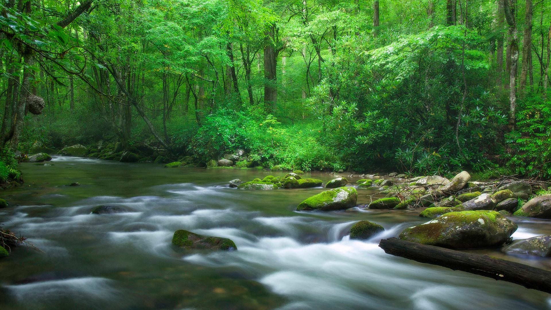 带森林河流的治愈系风景电脑壁纸推荐