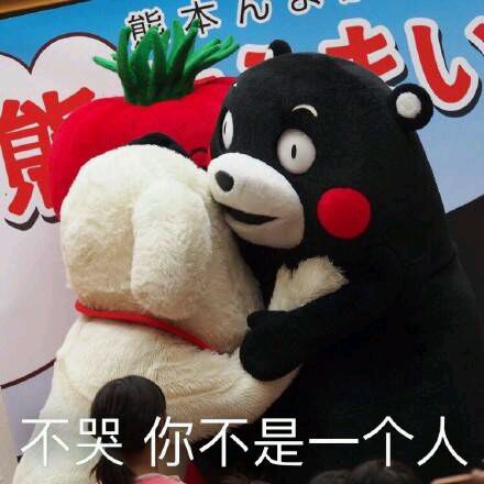 熊本熊恋爱聊天表情包合集