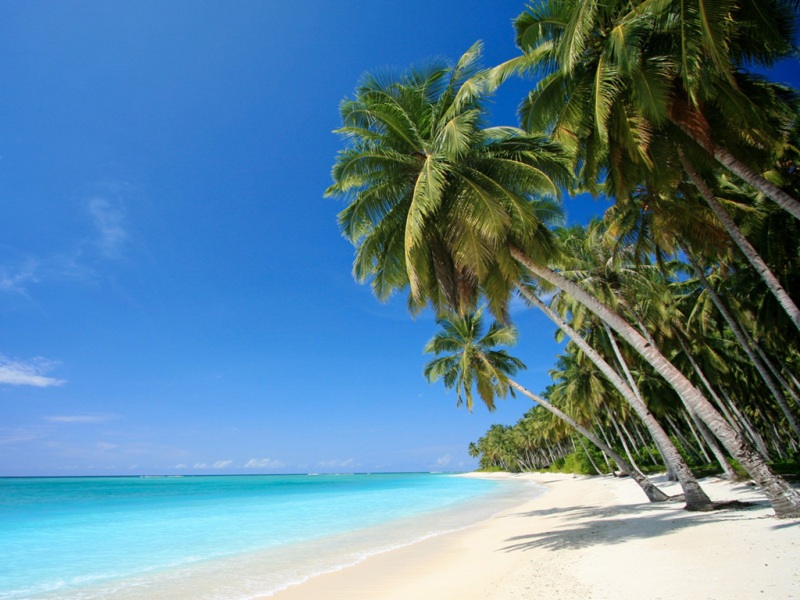 超治愈！大海沙滩热带风电脑动漫壁纸合集