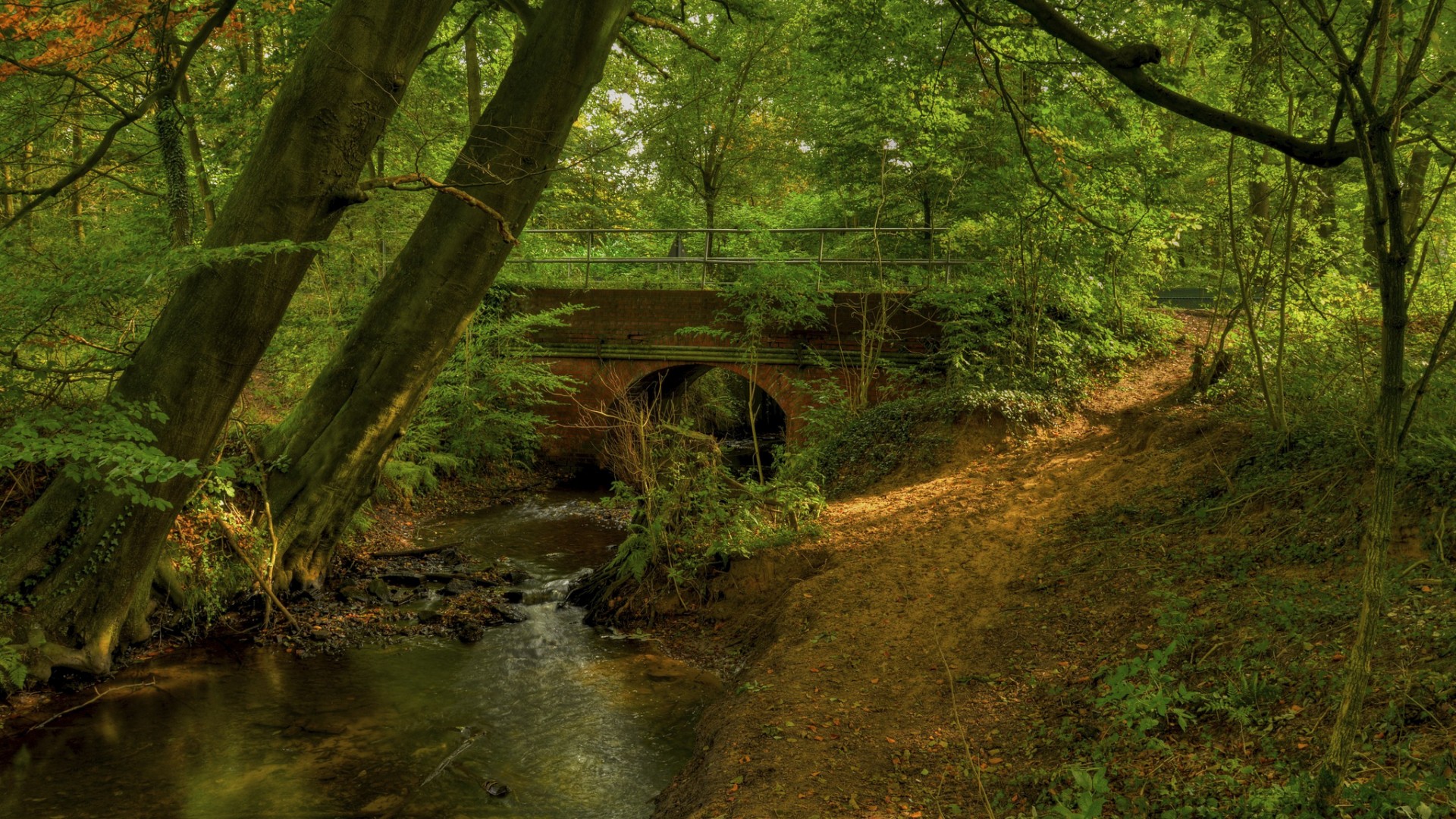 这款森林拱桥自然风景壁纸 适配多尺寸电脑桌面