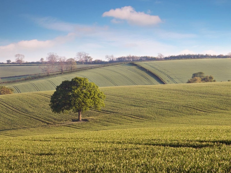 田园风电脑桌面动漫壁纸推荐来了