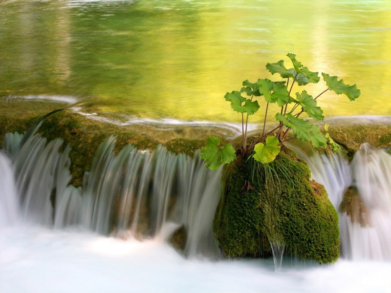 清凉河水主题电脑桌面壁纸分享